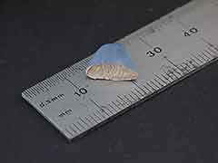 Product photo #100_8706 of SKU 21004010 (STANGL USA Bluejay #3716 Blue Jay with Leaf, Bird Figurine)